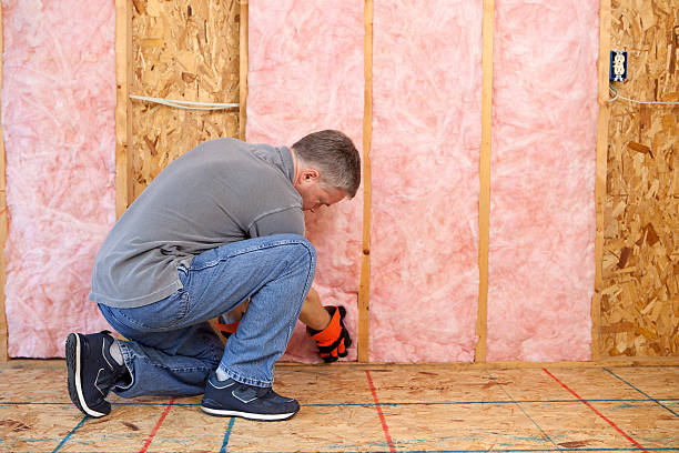 Professional Insulation Contractor in Flatwoods, KY